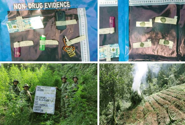 18 drug personalities, busted; P1M marijuana crops, eradicated