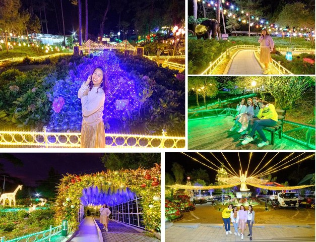 BOTANICAL GARDEN TURNS CHRISTMASSY