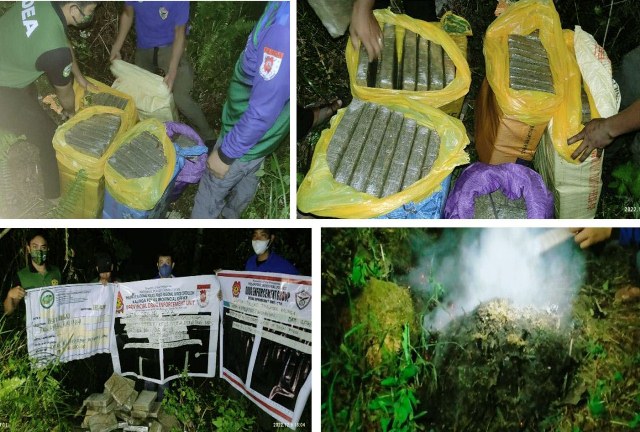 Over 12M worth of Marijuana Bricks burned in Kalinga