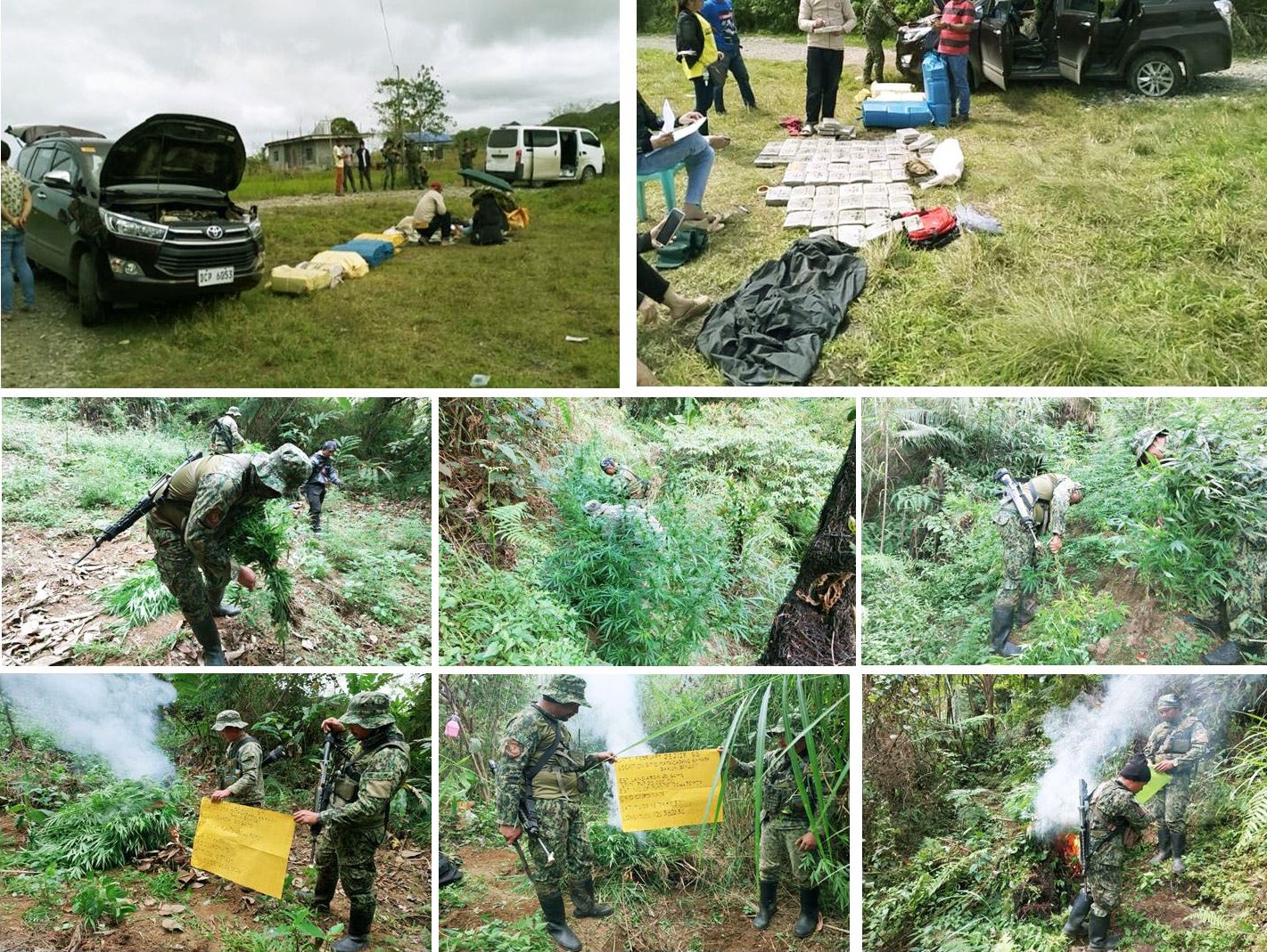 Over 29-M worth of Marijuana destroyed