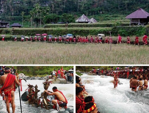 “Punnuk” festival ends harvest season in Hapao, Hungduan