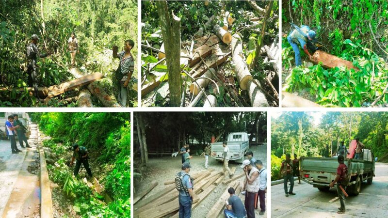 MORE THAN P130K WORTH OF ABANDONED NARRA LUMBER RECOVERED IN KALINGA