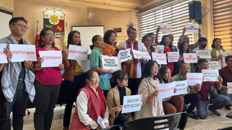 #FightToExpress: IP Groups from North and Central Luzon Join Forces in UN SR Irene Khan Consultation