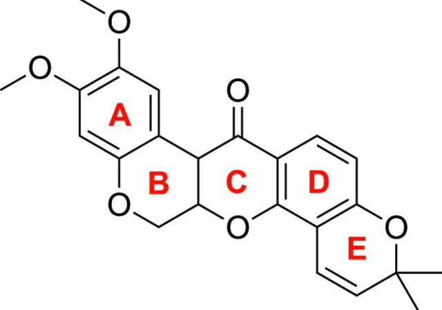 UP Chemists Modify Anticancer Compound to Improve Safety and Efficacy