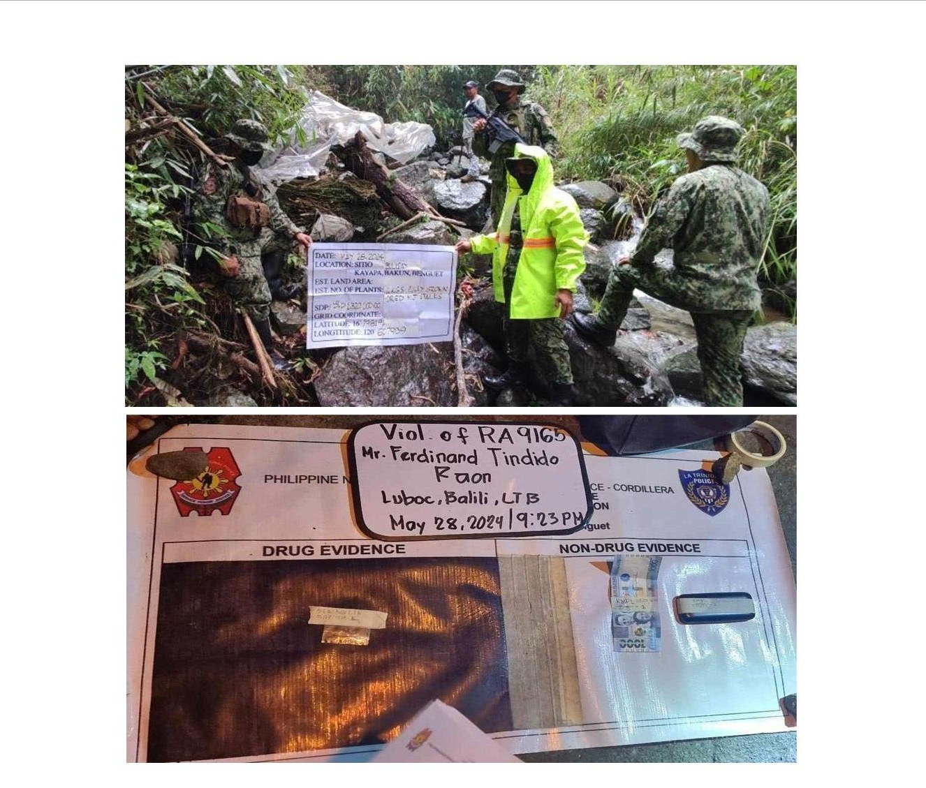 BENGUET COPS ARREST STREET-LEVEL DRUG PERSONALITY, DESTROY OVER P1.3M WORTH OF DRIED MARIJUANA