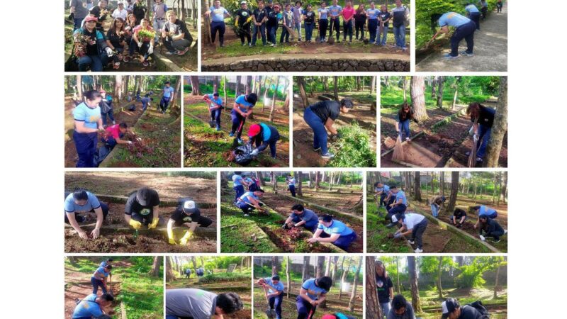 Enhancing the Park Through Volunteerism