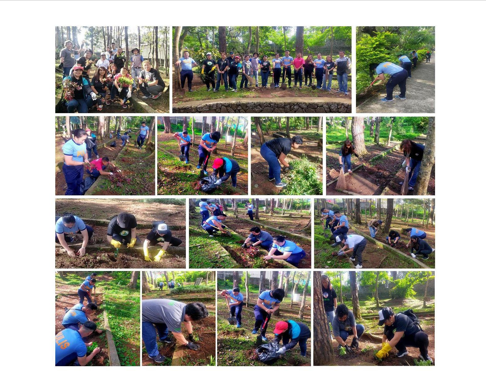 Enhancing the Park Through Volunteerism