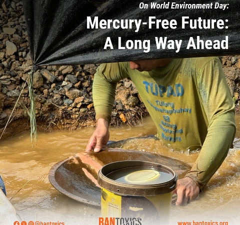 A long road ahead towards a mercury-free environment