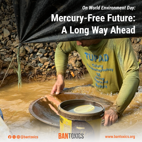 A long road ahead towards a mercury-free environment