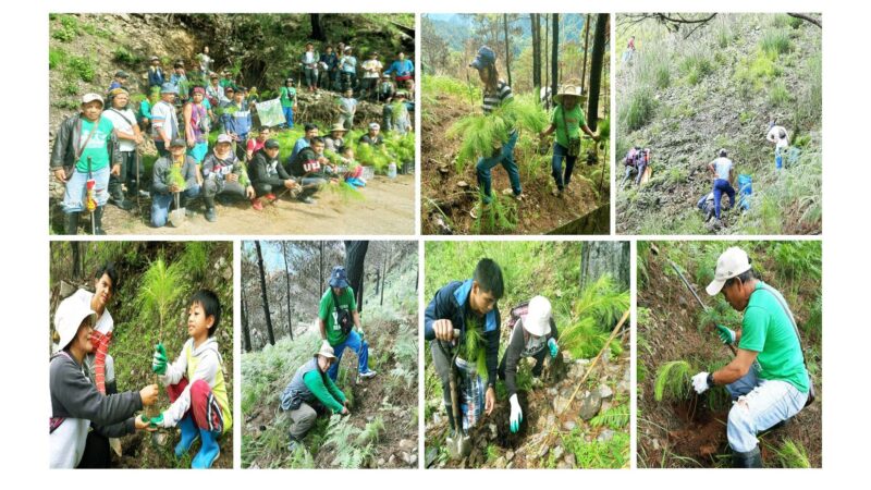 A True Bayanihan Spirit…  SHAGGCLAI pocket miners  conduct tree planting