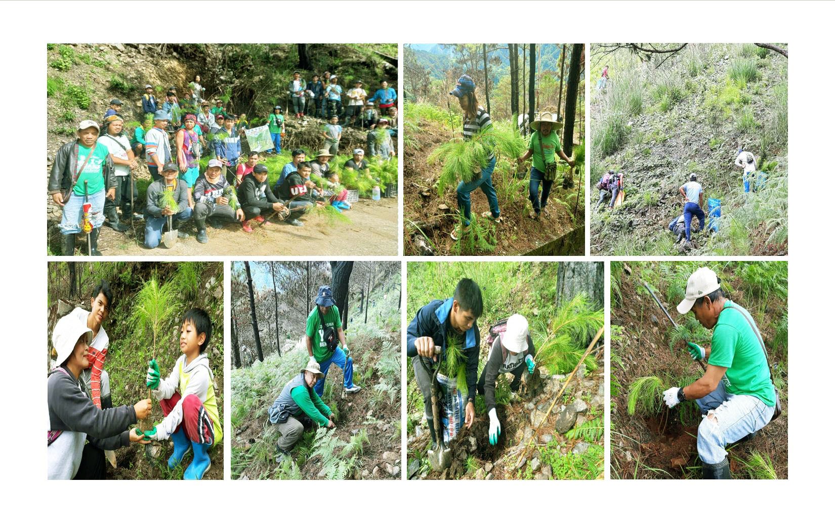 A True Bayanihan Spirit…  SHAGGCLAI pocket miners  conduct tree planting