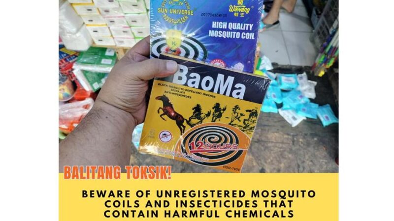 BAN Toxics urges caution in use of mosquito coils, household insecticides, and fogging amid rising dengue cases due to potential health risks