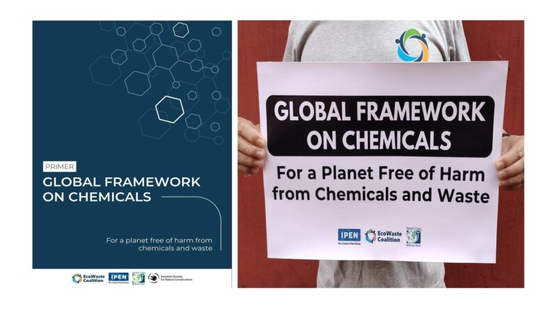 Groups Cite the Urgency of Putting the Global Framework on Chemicals Into Action