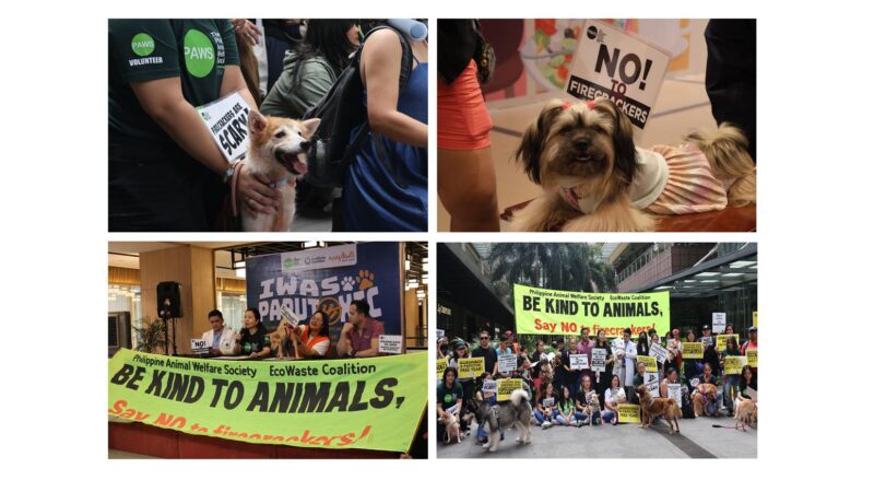 Groups Campaign to Protect Animals, People and the Environment from Harmful Effects of Firecrackers and Fireworks