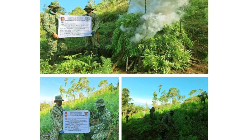 Benguet Cops Burn P400K Worth of Marijuana Plants in Kibungan