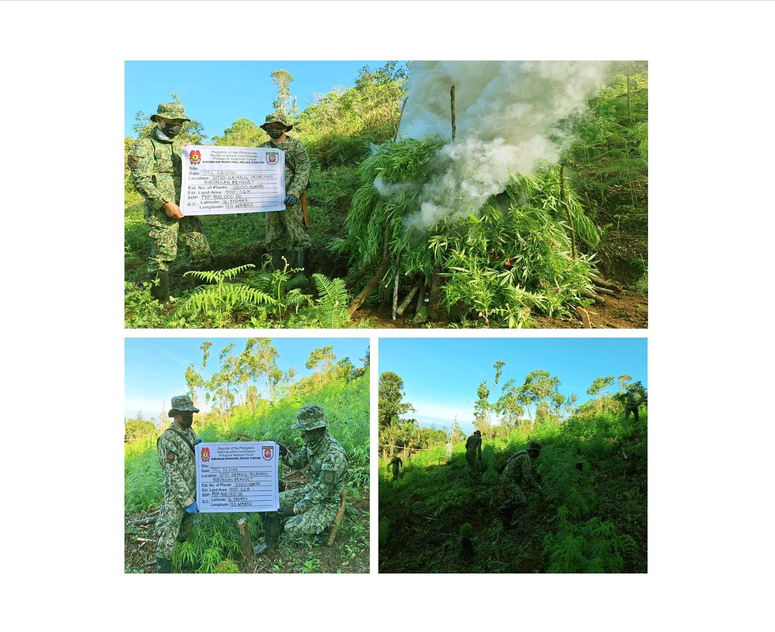 Benguet Cops Burn P400K Worth of Marijuana Plants in Kibungan